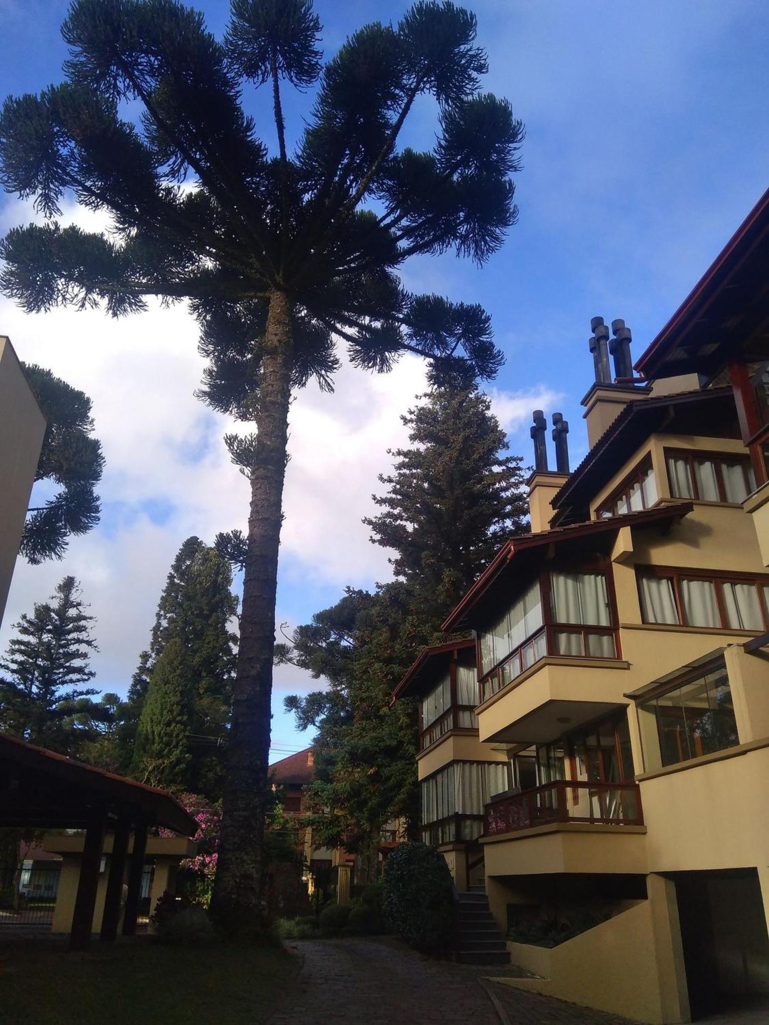 Estacao Das Hortensias, Seu Aconchego Em Gramado Apartment Екстериор снимка