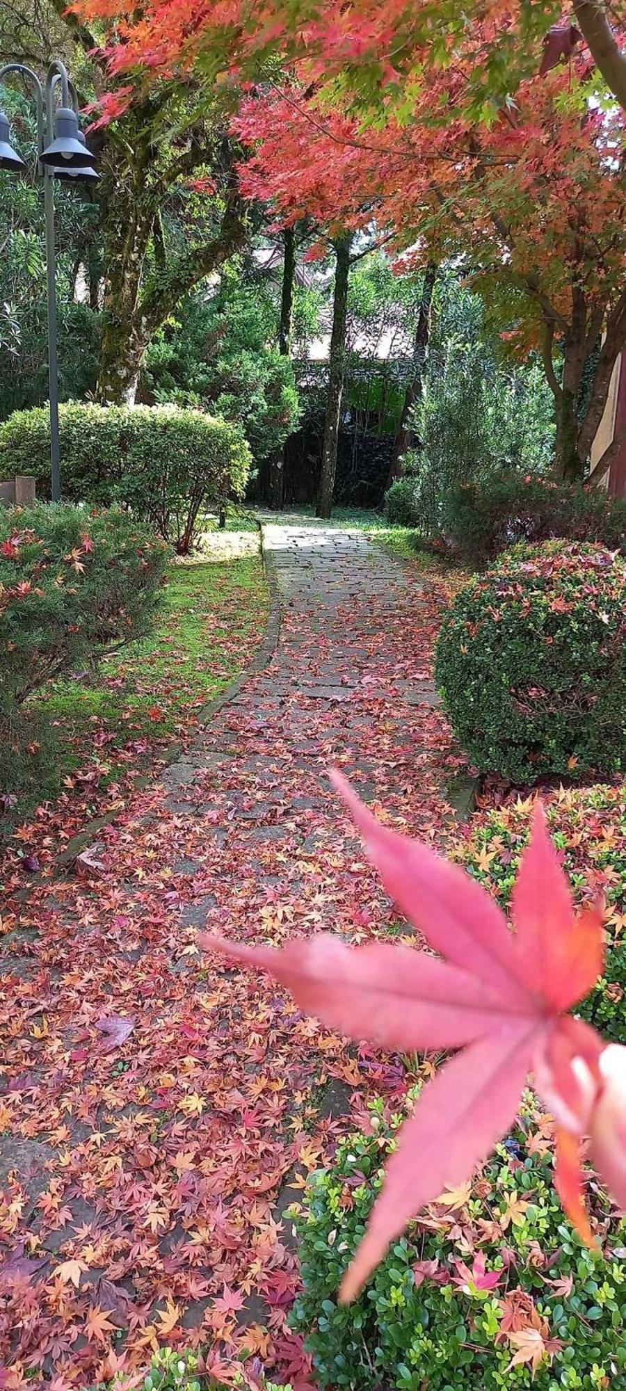 Estacao Das Hortensias, Seu Aconchego Em Gramado Apartment Екстериор снимка
